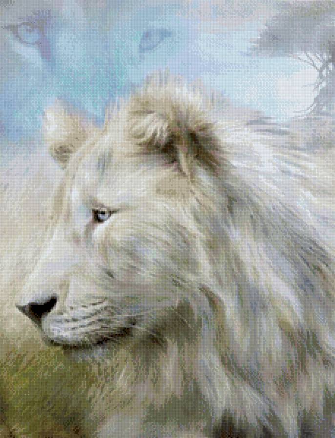 царь зверей - животные, природа, лев - предпросмотр