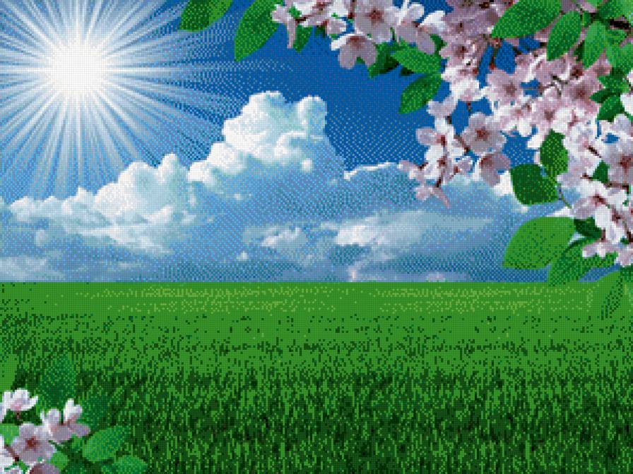 весна - времена года, солнце, пейзаж, цветы, весна, облака - предпросмотр
