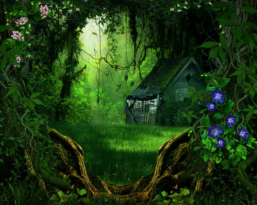 заброшенный домишко - монохром, цветы, лес, пейзаж, домик - оригинал