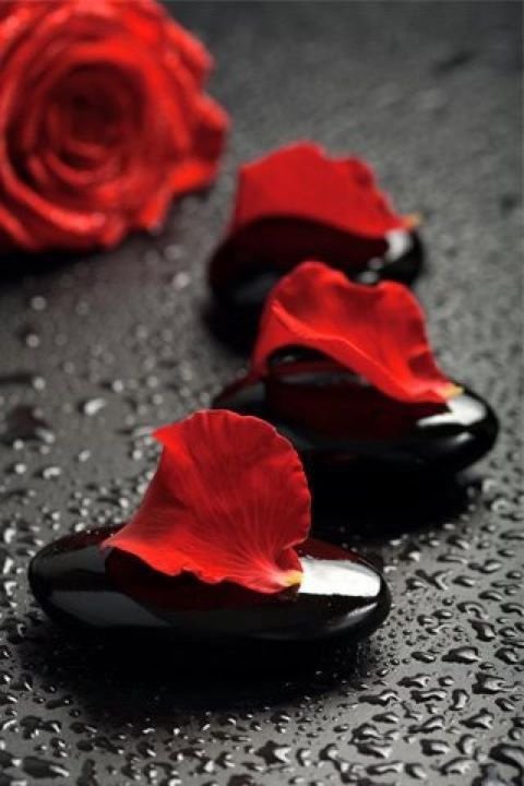 Спа камни и роза - черно-красное, на черном фоне, спа камни, розы - оригинал