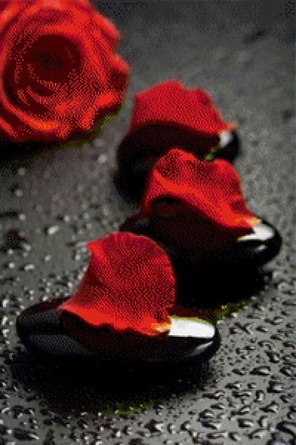 Спа камни и роза - розы, спа камни, на черном фоне, черно-красное - предпросмотр