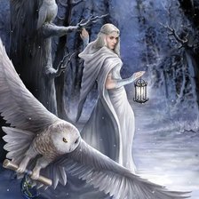 Зимняя фея