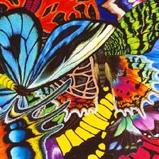 Оригинал схемы вышивки «бабочки4» (№797489)