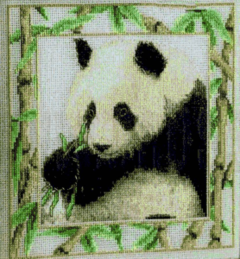 панда - панда - предпросмотр