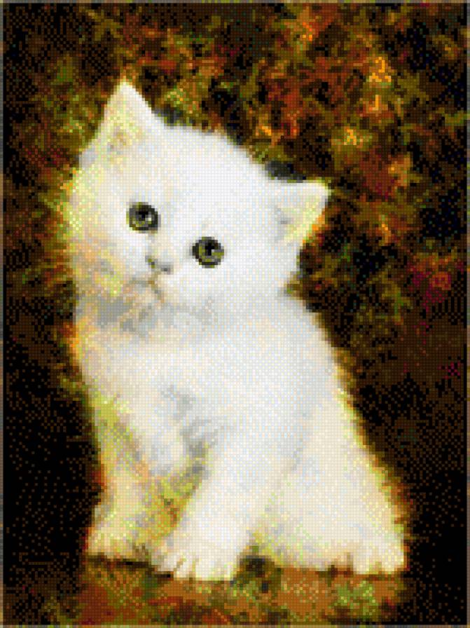 Белый котенок - котенок, кот, кошка - предпросмотр