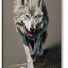 Оригинал схемы вышивки «волк» (№800974)