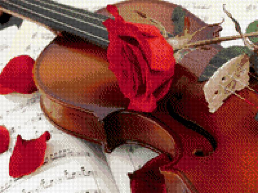 скрипка - музыкальный инструмент, скрипка, роза - предпросмотр