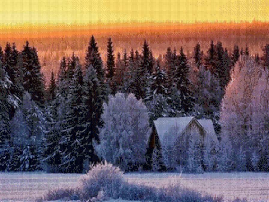 рыжая зима - лес, зима, природа - предпросмотр
