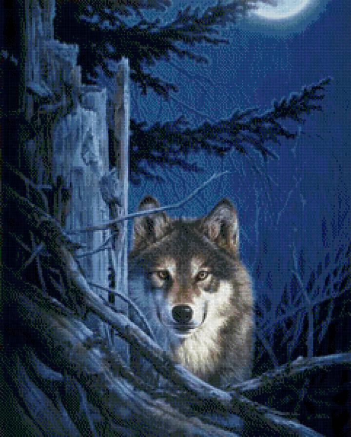 волк - волк, животное, природа - предпросмотр