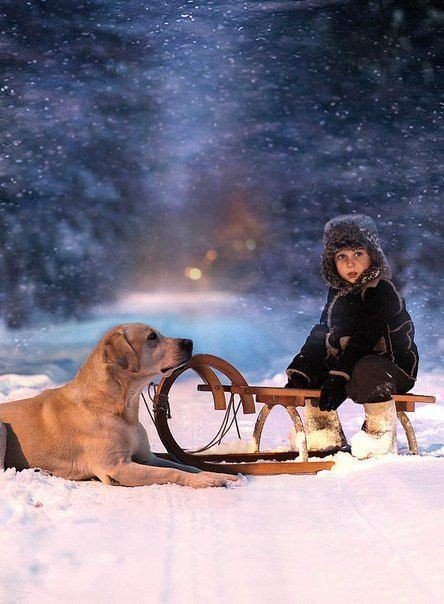 детство - зима, дети, животные, вечер, прогулка - оригинал