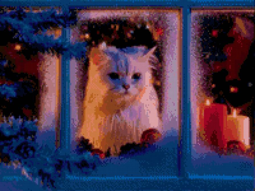 котик - рождество, новый год, свечи, кот, животные, окно - предпросмотр