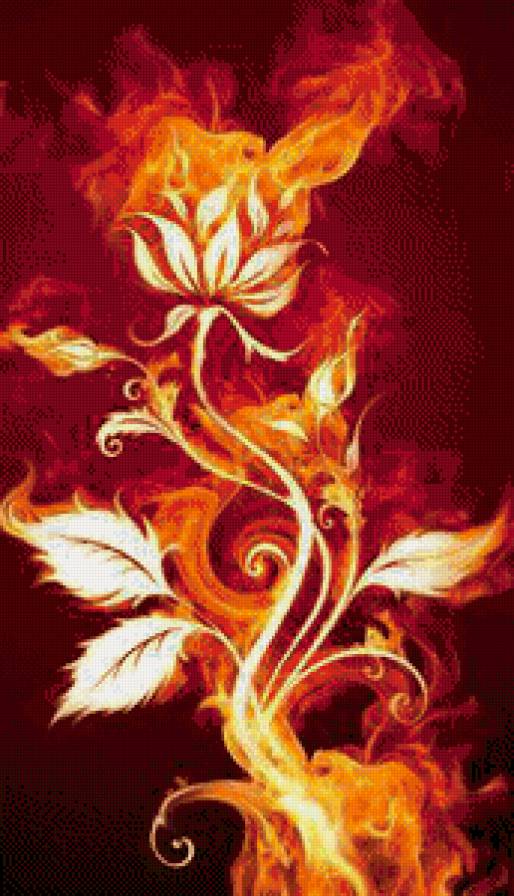 огненный цветок - предпросмотр