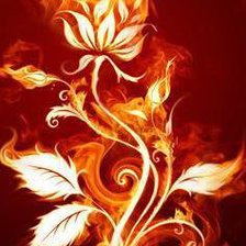 Оригинал схемы вышивки «огненный цветок» (№803991)