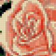 Предпросмотр схемы вышивки «Розы» (№804013)
