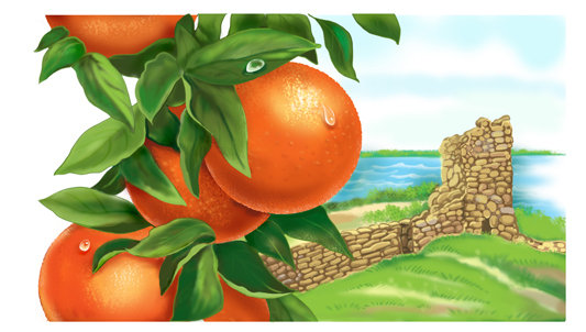 апельсинки - еда, апельсин, поле, цитрус, апельсины, кухня - оригинал