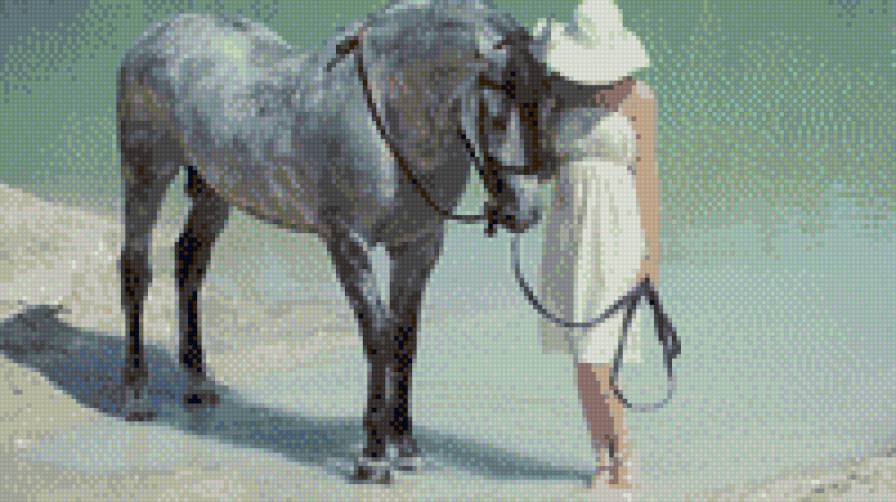 девушка и лошадь - предпросмотр