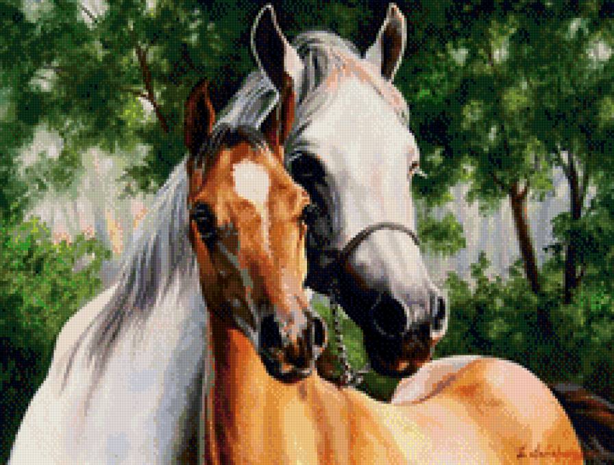 Прекрасные создания - лошади, мама, детеныши, семья - предпросмотр