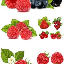 Оригинал схемы вышивки «лесные ягоды» (№805147)