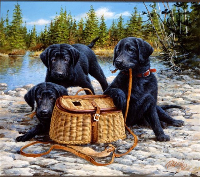 пикник - животные, собака, щенки, картина - оригинал