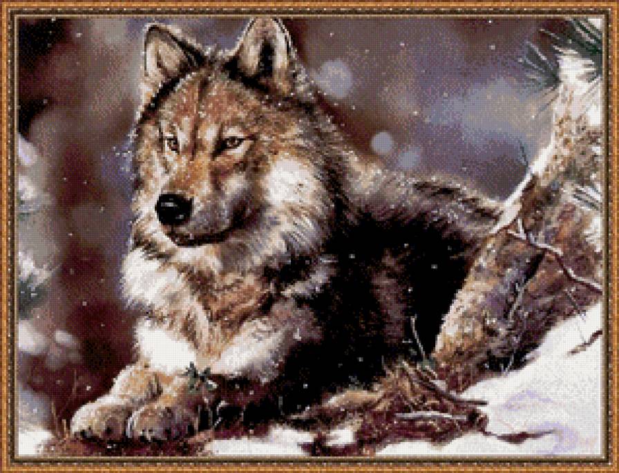 волки - природа, волк, животное - предпросмотр