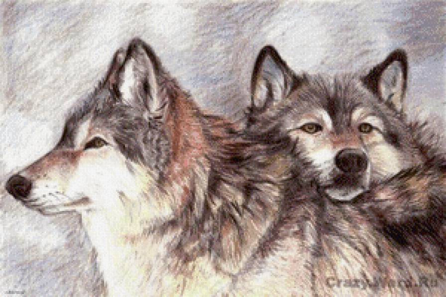 волки - природа, волк, животное - предпросмотр