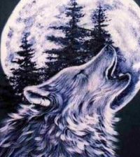 Оригинал схемы вышивки «волк» (№806554)