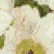 Предпросмотр схемы вышивки «палитра цветов» (№806572)
