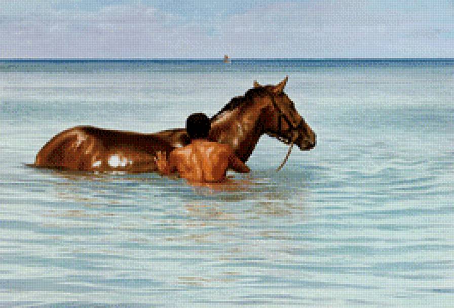 купание коня - предпросмотр