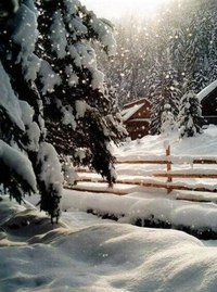 зимний лес - лес, снег, зима - оригинал