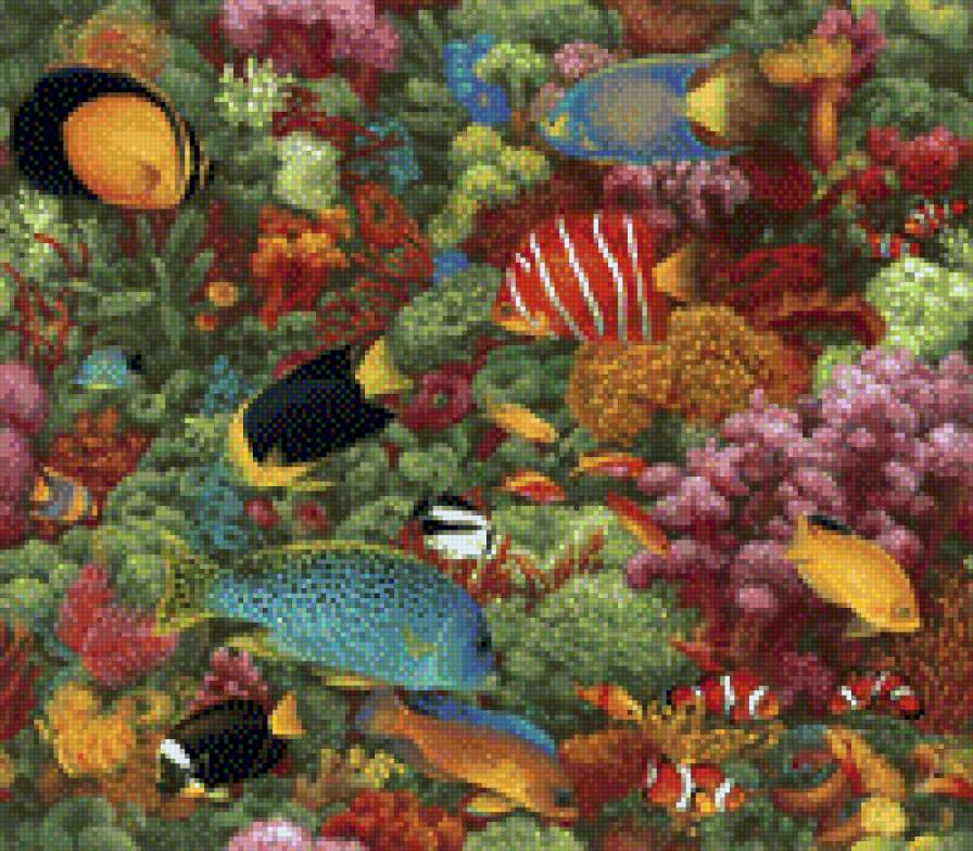 arrecife - предпросмотр
