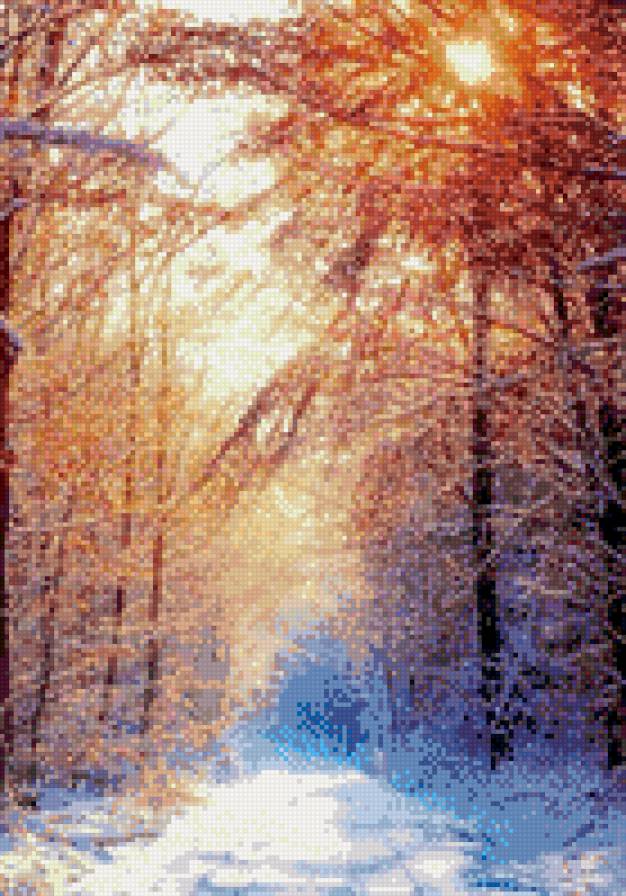 Зимний лес - зима, лес - предпросмотр