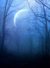 Луна - ночь, луна, лес - оригинал