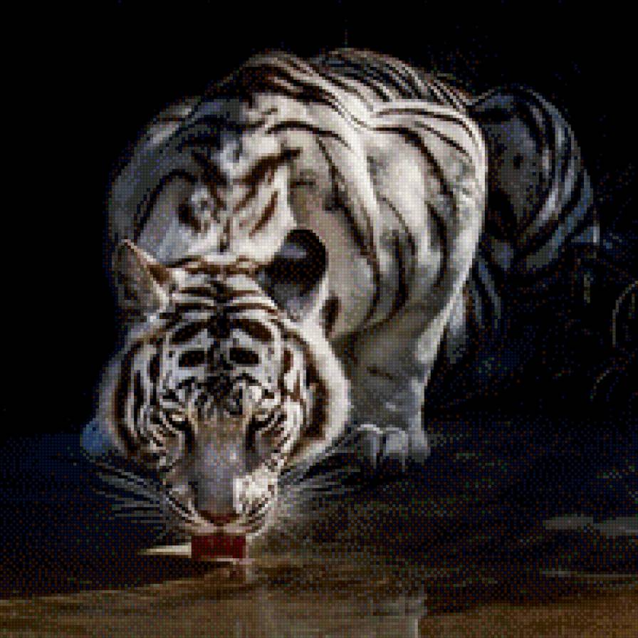 №810522 - тигры, животные, звери - предпросмотр