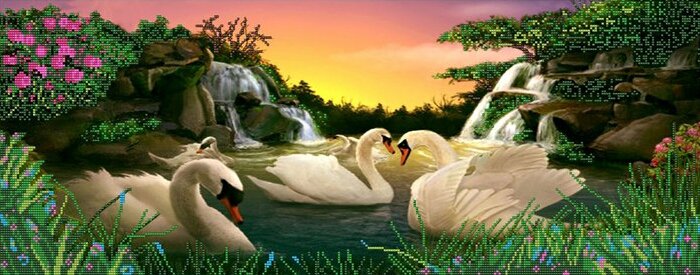 Лебеди - лебеди, животные, природа, пейзаж - оригинал