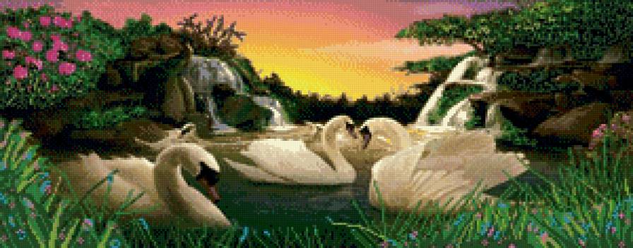Лебеди - лебеди, природа, пейзаж, животные - предпросмотр