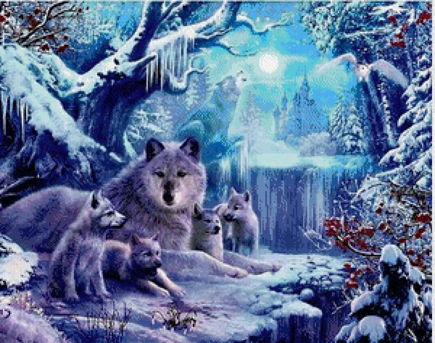 Волки - лес, животные, волки - предпросмотр