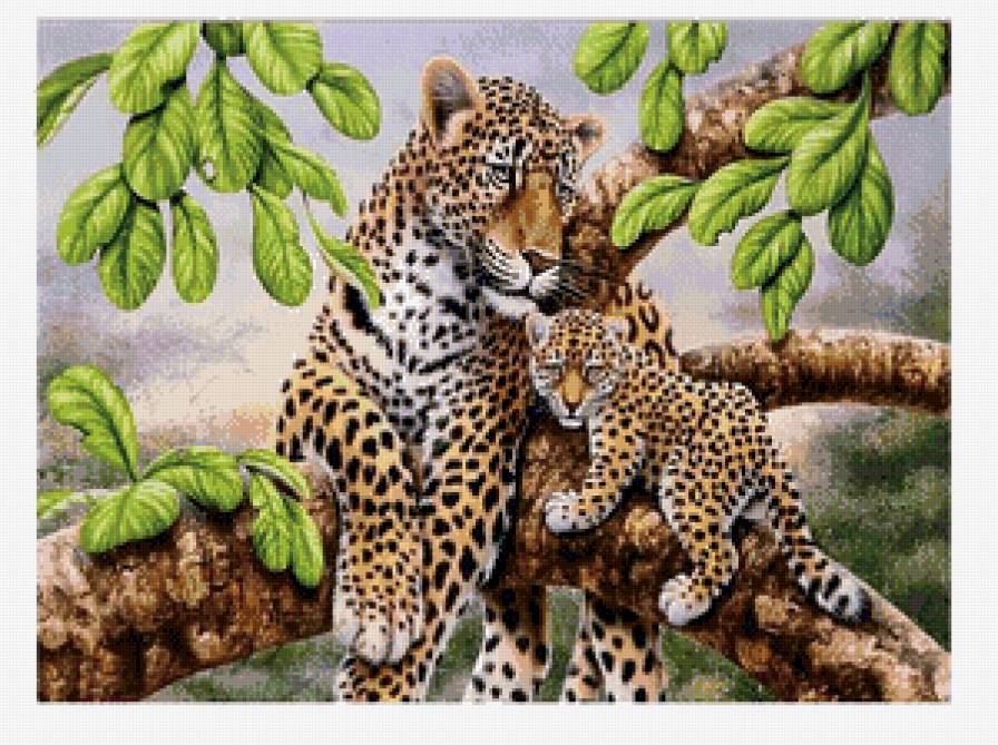 Леопард с малышом - животные, лес, леопард - предпросмотр