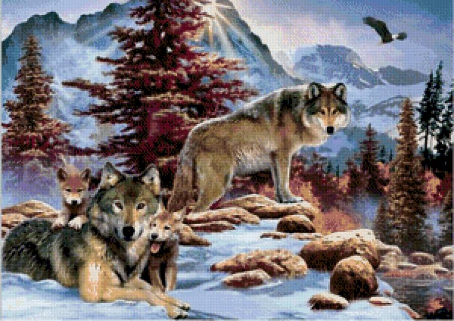 Волки - животные, лес, волки - предпросмотр