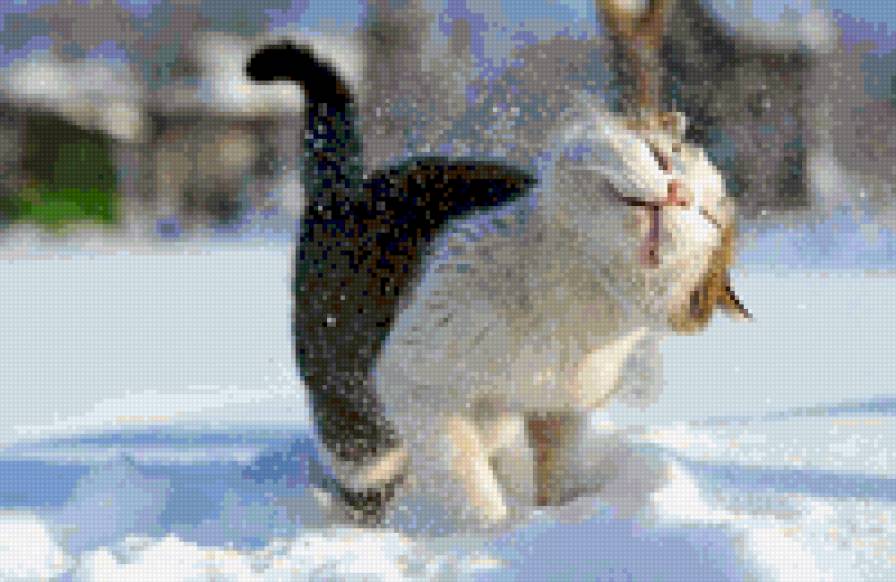котейка - приколы, кот, зима, снег - предпросмотр