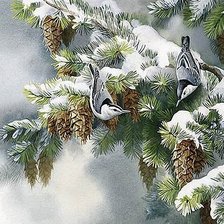Оригинал схемы вышивки «Зимние птицы» (№811174)