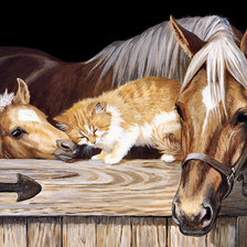 Оригинал схемы вышивки «лошади и котенок» (№813973)
