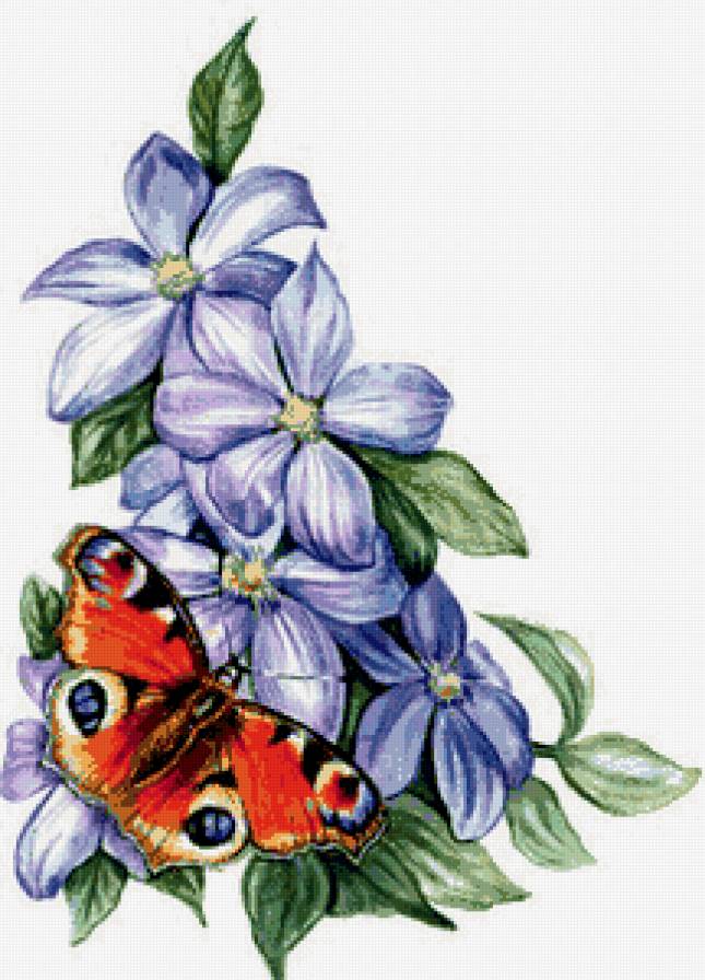 Бабочка на цветах - клематис, бабочка, цветы - предпросмотр