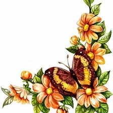 Бабочка на цветах