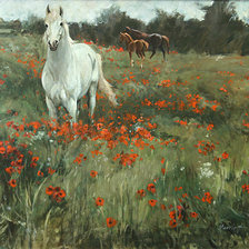 Лошади в маковом поле.