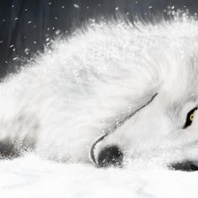 Оригинал схемы вышивки «Белый волк на снегу» (№815294)