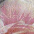 Предпросмотр схемы вышивки «девушка с розой» (№815747)