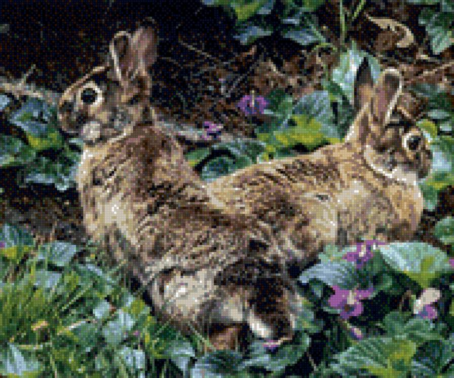 0204 - картина, красота, лето, заяц, животные, природа - предпросмотр