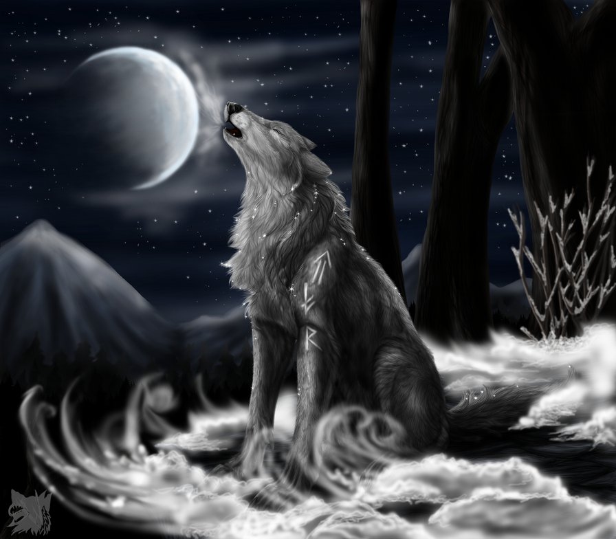 одинокий волк - хищник, зима, волк, ночь, монохром, луна - оригинал