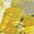 Предпросмотр схемы вышивки «жёлтые цветы» (№816856)
