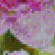 Предпросмотр схемы вышивки «цветок» (№817274)